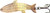 Acme S300/G Phoebe Spoon, 1 1/4", 1/12 oz, Gold