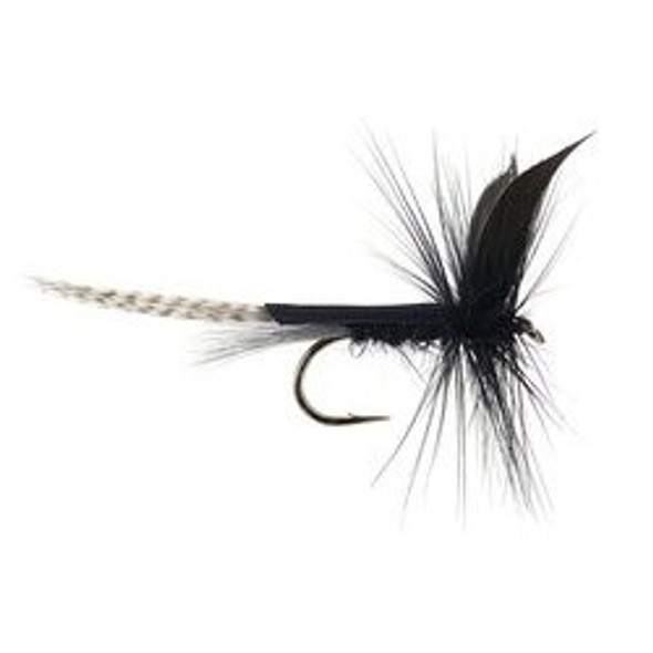 Mayflies Flies - Black Dun - Hook Size : 12