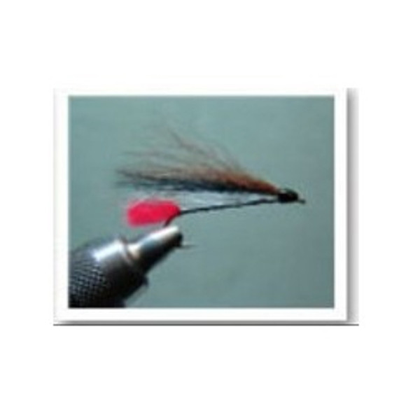 Streamer Flies - Black Nosed Dace - Hook Size : 8