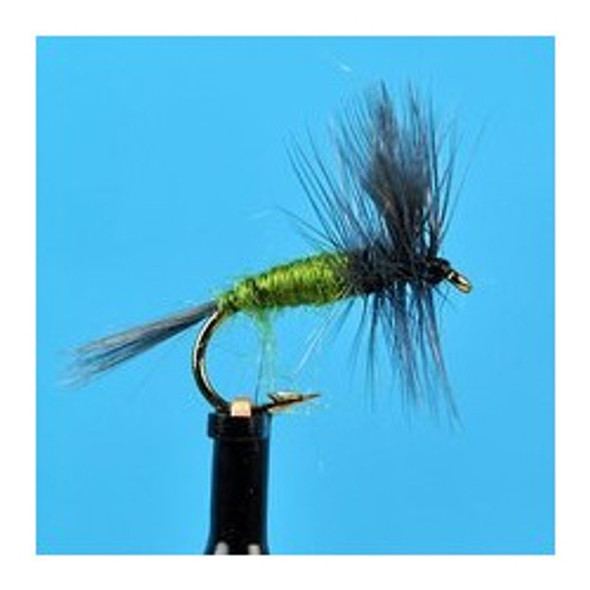 Dry Flies - Blue Wing Olive - Hook Size : 12