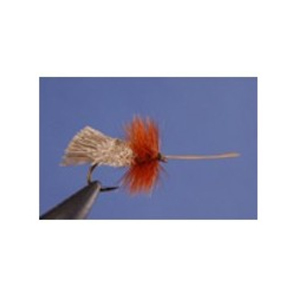 Dry Flies - Goddard Caddis - Hook Size : 12