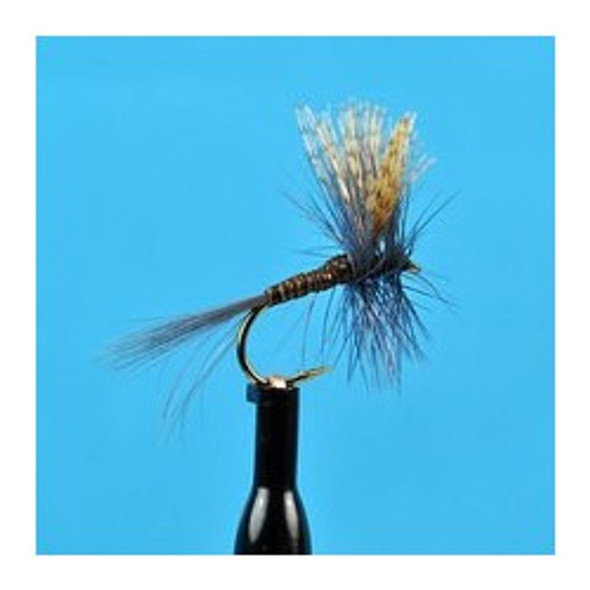 Dry Flies - Quill Gordon - Hook Size : 12