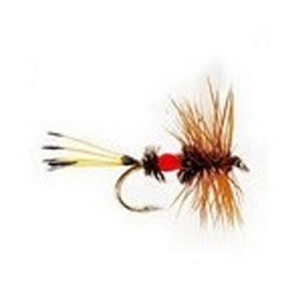 Dry Flies - Royal Coachman - Hook Size : 12