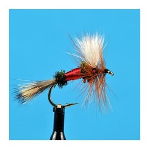 Dry Flies - Royal Wulff - Hook Size : 14