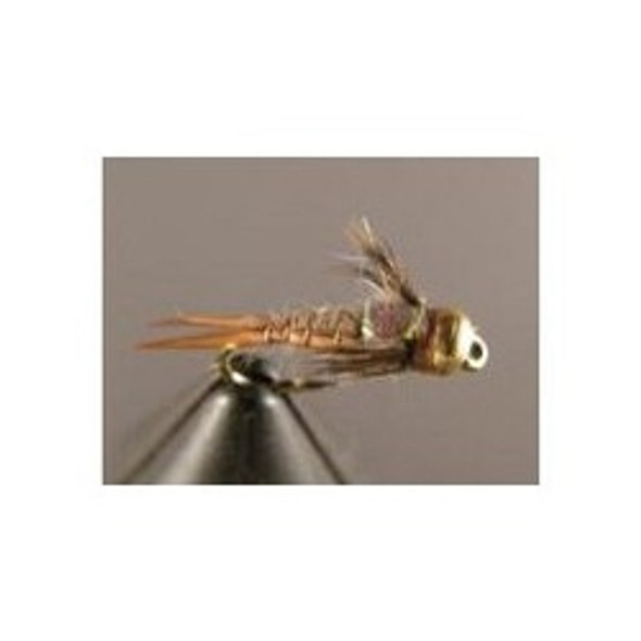 Bead Head Nymphs Flies - Universal Nymph - Hook Size : 10