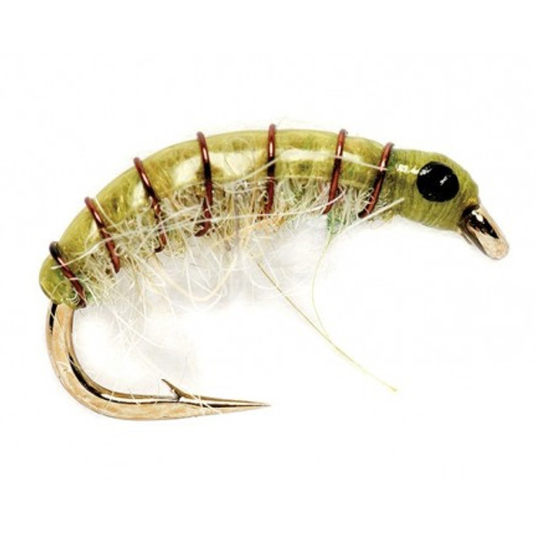 Nymph Flies - Olive Scud - Hook Size : 10