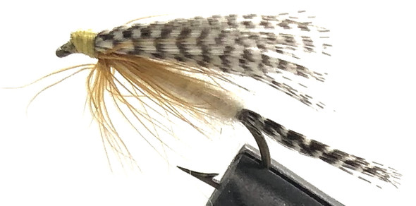 10 Moscas - Wet Light Cahill em um Bronze 8 Mustad Hook