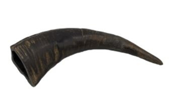 Tailfin Pet Co. - Medium Water Buffalo Horn 