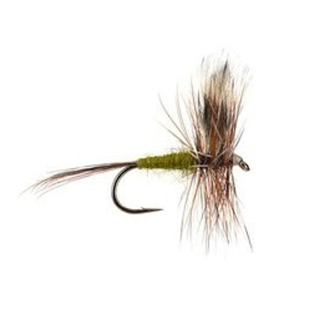 Dry Flies - Adams Olive - Hook Size : 12