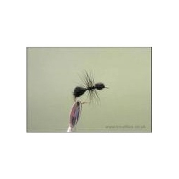 Dry Flies - Black Ant Traditional - Hook Size : 14
