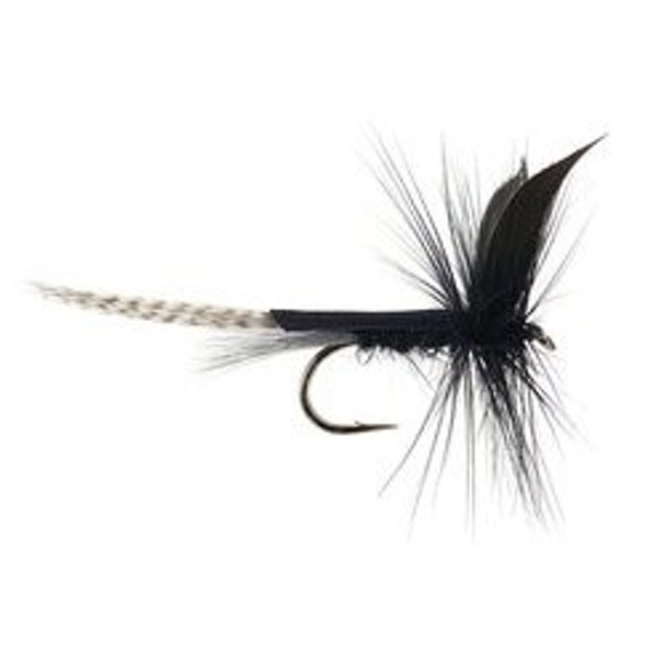 Mayflies Flies - Black Dun - Hook Size : 14