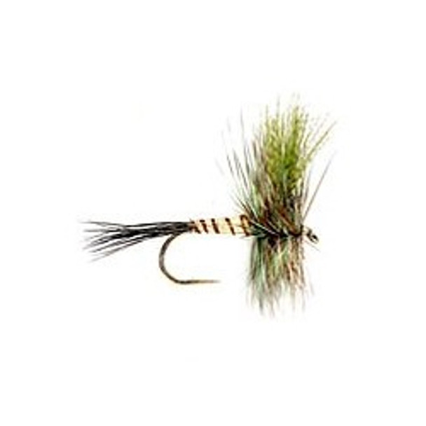 Dry Flies - Eastern Green Drake - Hook Size : 8