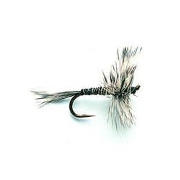 Dry Flies - Olive Quill - Hook Size : 12