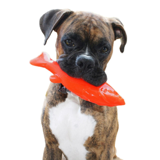 Tailfin Pet Co. - Ruff Dawg Dog Toy Flying Fish