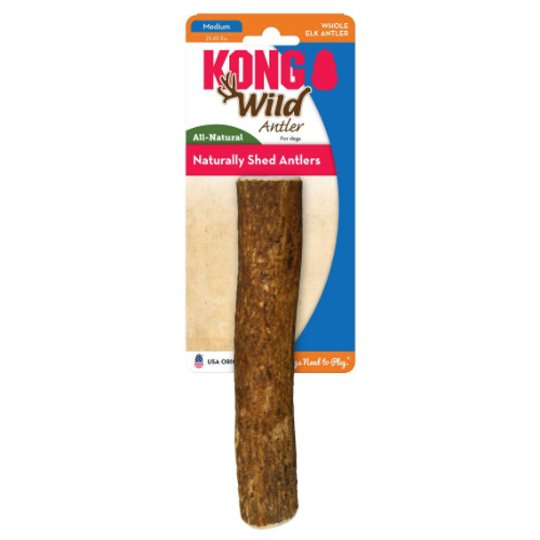 Kong Wild Antler Whole - Medium