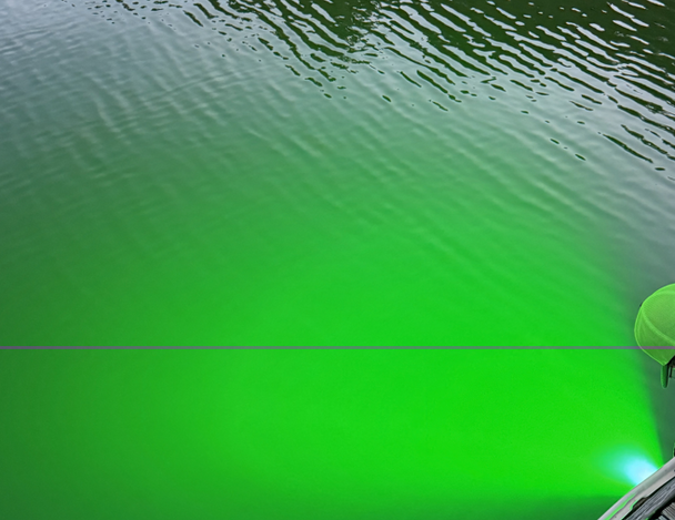 Hydro Glow Downward Facing Dock Light- Green