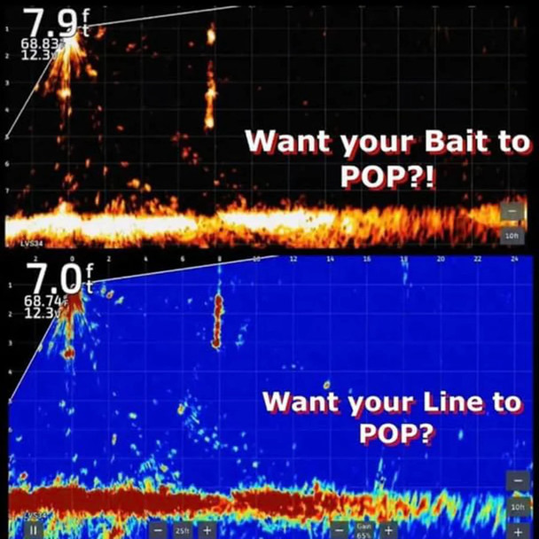 Bait Pop Elite on Live Sonar