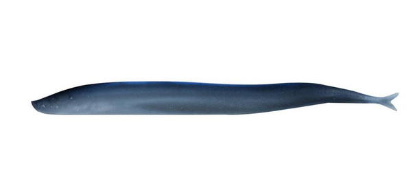 Berkley Gulp!® Saltwater Sand Eel - 5" Silver Mud