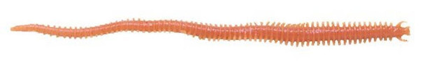 Berkley Gulp!® Saltwater Sandworm - 6" Natural GSSW6-NAT