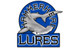 Leurres HammerHead