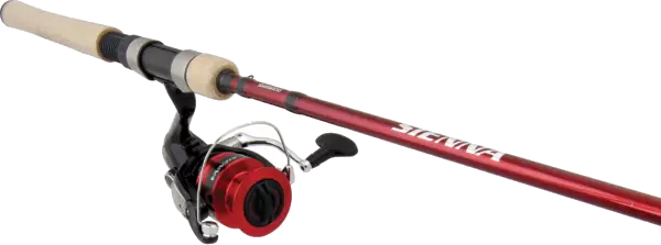 SHIMANO - セレーナです。 Shimano Sienna Spinning Combo - FISH307