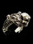 Sterling silver Skull ring Evil Skeleton high polished 925 silver