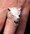 Big and Heavy Sterling silver Wild Animal ring Roaring Grizzly Bear 925 silver men's ring