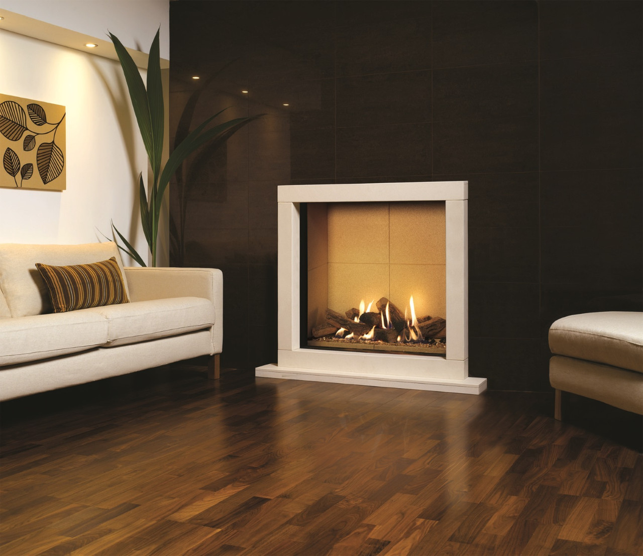 Balanced Flue
