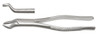 53L Upper Left Molars