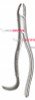24 Extracting Forceps, Upper Molars, Hook