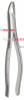 150AS Extracting Forceps, Upper Universal, Split