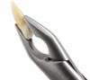 Apical 1 Extracting Forceps, Upper Anteriors