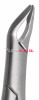 Apical 151 Extracting Forceps, Lower Universal
