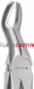 Max-Lite 67X, Upper 3rd Molars, Universal
