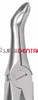 Max-Lite 246, Lower Roots, Spade