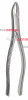 Pedodontic 150S Extracting Forceps, Upper Universal