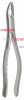 Pedodontic 150XAS Extracting Forceps, Upper Universal, Split