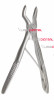 Pedodontic A Extracting Forceps, Upper Molars, Universal