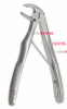 Pedodontic B Extracting Forceps, Lower Roots, Universal
