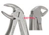 Pedodontic B Extracting Forceps, Lower Roots, Universal