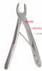 Pedodontic F Extracting Forceps, Upper Universal