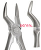Pedodontic H Extracting Forceps, Upper Universal, Root
