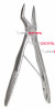 Pedodontic H Extracting Forceps, Upper Universal, Root
