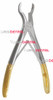 Max-Lite Pedodontic 67R, Upper Molars, Right