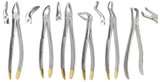 Extraction Forceps