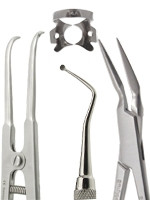 Endodontic