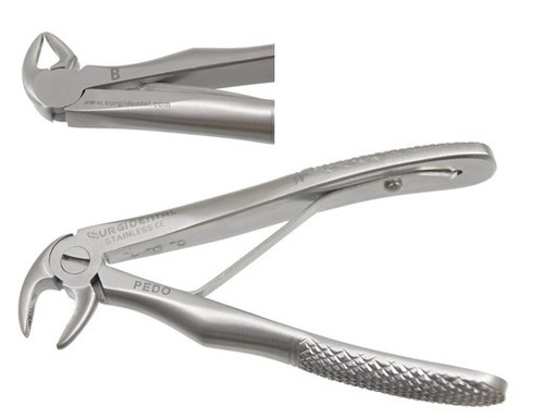 Pedodontic B Lower Roots, Universal