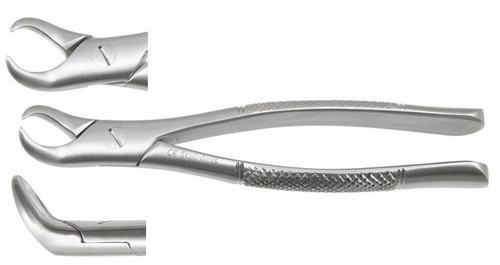 Max-Lite 23 Lower Molars, Cow Horn