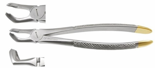 Max-Lite 79 Lower 3rd Molars