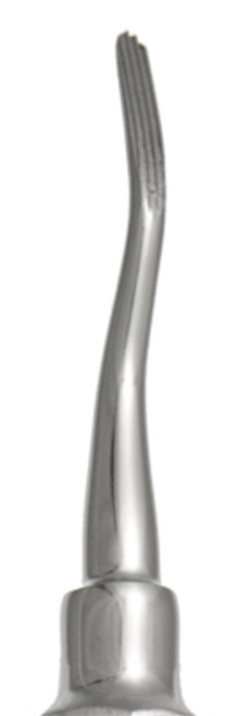 Bayonet 2 Dental Elevator